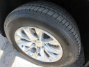 Thumbnail image of 2020 Chevrolet Silverado 1500 at DAM AUTO SALES INC.