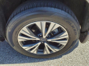 Thumbnail image of 2023 Nissan Rogue at Mathews Nissan