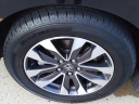Thumbnail image of 2022 Honda Odyssey at Serra Buick Gmc Champaign