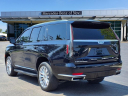 Thumbnail image of 2024 Cadillac Escalade at MercedesBenzOfNovi of Novi, MI
