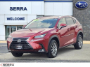 Thumbnail image of 2021 Lexus NX 300 at Serra Buick Gmc Champaign