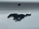 Thumbnail image of 2022 Ford Mustang Mach-E at Wayne Akers Ford