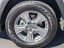 Thumbnail image of 2022 Toyota RAV4 at ToyotaPlace of Garden Grove, CA