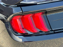 Thumbnail image of 2021 Ford Mustang at Wayne Ford