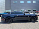 Thumbnail image of 2021 Ford Mustang at Wayne Ford