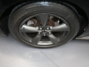 Thumbnail image of 2016 Ford Mustang at Miami Lakes Automall