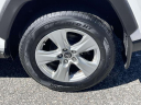 2019 Toyota RAV4 XLE at Nissan of Huntington