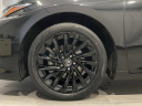 Thumbnail image of 2021 Lexus ES 300h at PaulMillerBmw USED