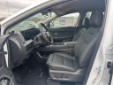 Thumbnail image of 2025 Nissan Murano at Blackburn Motor Co