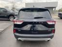 Thumbnail image of 2022 Ford Escape at LaFontaine Chrysler Dodge Jeep Ram of Fenton