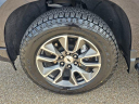 Thumbnail image of 2022 Chevrolet Silverado 1500 at MacHaikChevrolet NEW