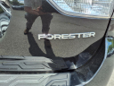 Thumbnail image of 2020 Subaru Forester at Dutch Miller Nissan