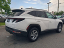 Thumbnail image of 2023 Hyundai TUCSON at WernerHyundai-New of Tallahassee, FL