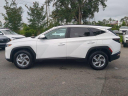 Thumbnail image of 2023 Hyundai TUCSON at WernerHyundai-New of Tallahassee, FL