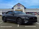 Thumbnail image of 2023 Ford Mustang at Sam Wampler's Freedom Ford - Mcalester
