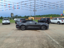 Thumbnail image of 2023 Ford Mustang at Sam Wampler's Freedom Ford - Mcalester