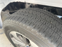 Thumbnail image of 2019 Ford F-150 at GWINNETT MOTOR COMPANY