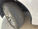 Thumbnail image of 2019 Ford F-150 at GWINNETT MOTOR COMPANY