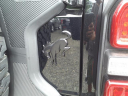 Thumbnail image of 2024 Ford Bronco at Liccardi Ford Inc