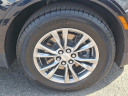 Thumbnail image of 2021 Cadillac XT5 at Brogan Cadillac of Totowa