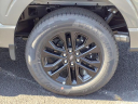 2024 Ford F-150 XLT at Sykora Family Ford