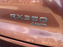 Thumbnail image of 2024 Lexus RX 350 at Charles Barker Lexus