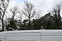 Thumbnail image of 2012 Ford Transit Connect at Genesis of Cottageville