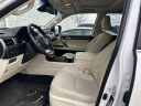 Thumbnail image of 2023 Lexus GX 460 at Arlington Toyota