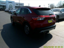 Thumbnail image of 2020 Ford Escape at Buhler & Bitter Chrysler Jeep Dodge