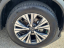 Thumbnail image of 2023 Nissan Rogue at Nissan of Fort Myers-New