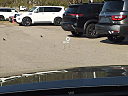 Thumbnail image of 2022 Nissan Pathfinder at Mathews Nissan