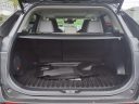 Thumbnail image of 2022 Toyota RAV4 at Lexington Toyota