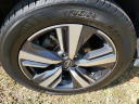 Thumbnail image of 2023 Nissan Rogue at BobSteeleChevrolet - Used