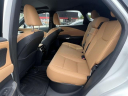 Thumbnail image of 2023 Lexus RX 350 at Lexus of Freeport
