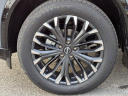 Thumbnail image of 2025 Nissan Rogue at Ableoff Nissan