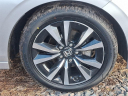 Thumbnail image of 2022 Honda Civic at Honda of Bridgewater