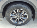 Thumbnail image of 2022 Honda CR-V at Ed Morse Honda