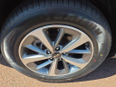 Thumbnail image of 2019 Kia Sorento at Peruzzi Toyota(New)
