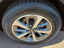 Thumbnail image of 2019 Kia Sorento at Peruzzi Toyota(New)