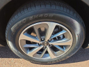 Thumbnail image of 2019 Kia Sorento at Peruzzi Toyota(New)