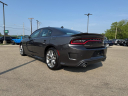 Thumbnail image of 2023 Dodge Charger at Wetzel Chrysler Jeep Dodge Ram