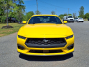 Thumbnail image of 2024 Ford Mustang at Classic Ford Lincoln Of Shelby