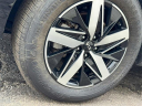 Thumbnail image of 2021 Kia Sorento at Spitzer Kia
