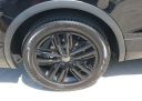 Thumbnail image of 2022 Volkswagen Tiguan at Gunther Volvo Cars Coconut Creek - Used