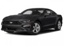 Thumbnail image of 2020 Ford Mustang at Mike Murphy Ford Inc. - New