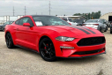 Thumbnail image of 2020 Ford Mustang at Mike Murphy Ford Inc. - New
