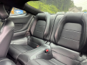Thumbnail image of 2020 Ford Mustang at THORPE AUTOMOTIVE