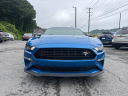 Thumbnail image of 2020 Ford Mustang at THORPE AUTOMOTIVE