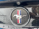 Thumbnail image of 2020 Ford Mustang at THORPE AUTOMOTIVE