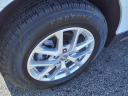 Thumbnail image of 2023 Chevrolet Equinox at D'orazio Ford